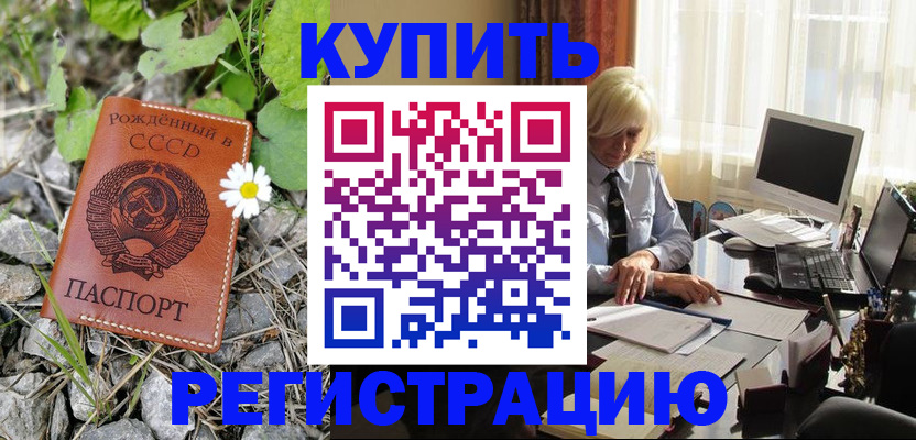 временная регистрация поиск в Камчатском крае